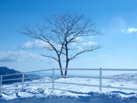 NOURE
